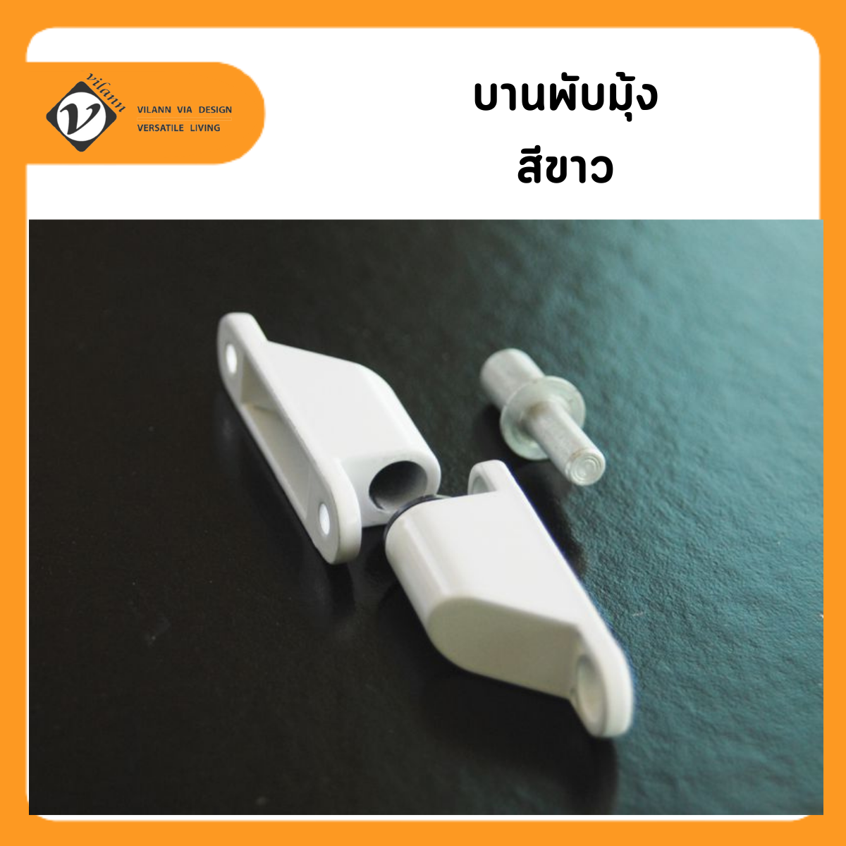 Mosquito Hinge