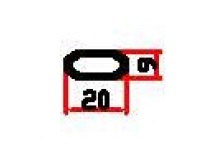 ลูกฟักภายใน