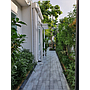 Tree Pergola 2 Post